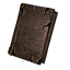 Guide to the Daggerfall Covenant icon