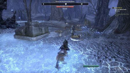 ESO: Talk to Sergeant Kamu - Into the Woods - , The Video
