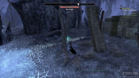 Elder Scrolls Online - L45 Into the Woods 