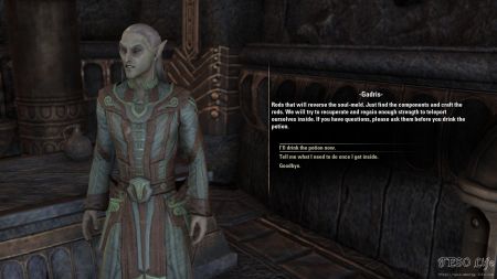eso the soul meld mage choice