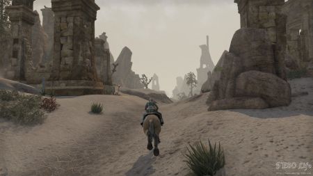 Quest NPC Adifa Dunestrider image 934 middle size