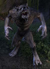 ESO Werewolf Guide - How to become a powerful Werewolf! - AlcastHQ