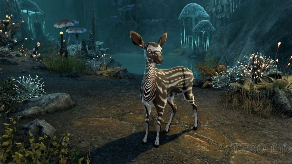 The Elder Scrolls Online Horns Of The Reach Release Date and Details